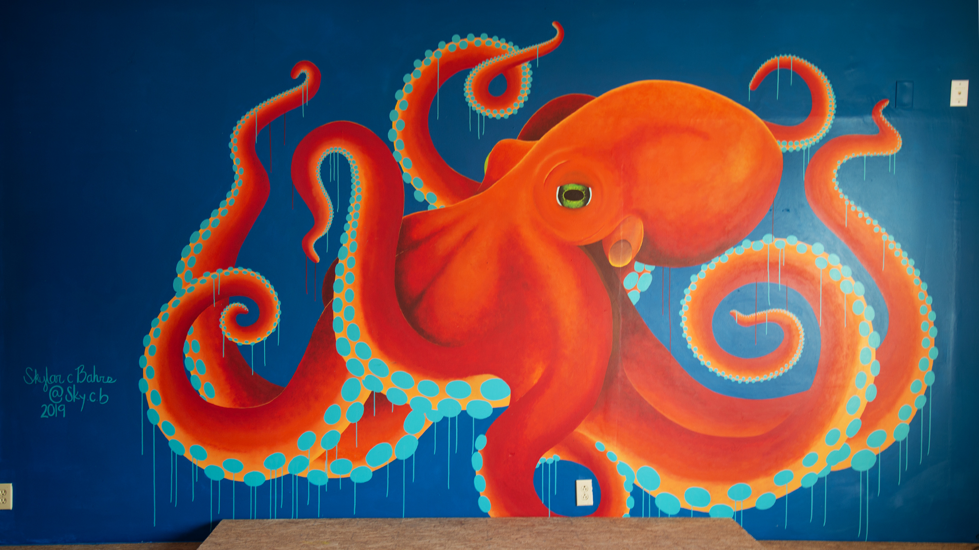Octopus mural, full wall